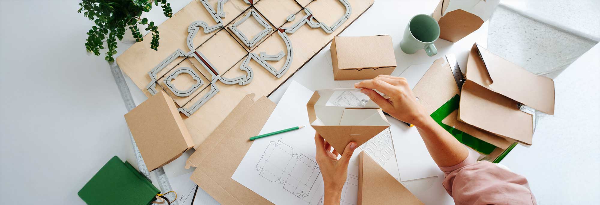 Carton-Package-designs